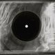 Illustration for article titled Soviet-era bootleg recordings made on discarded X-ray plates